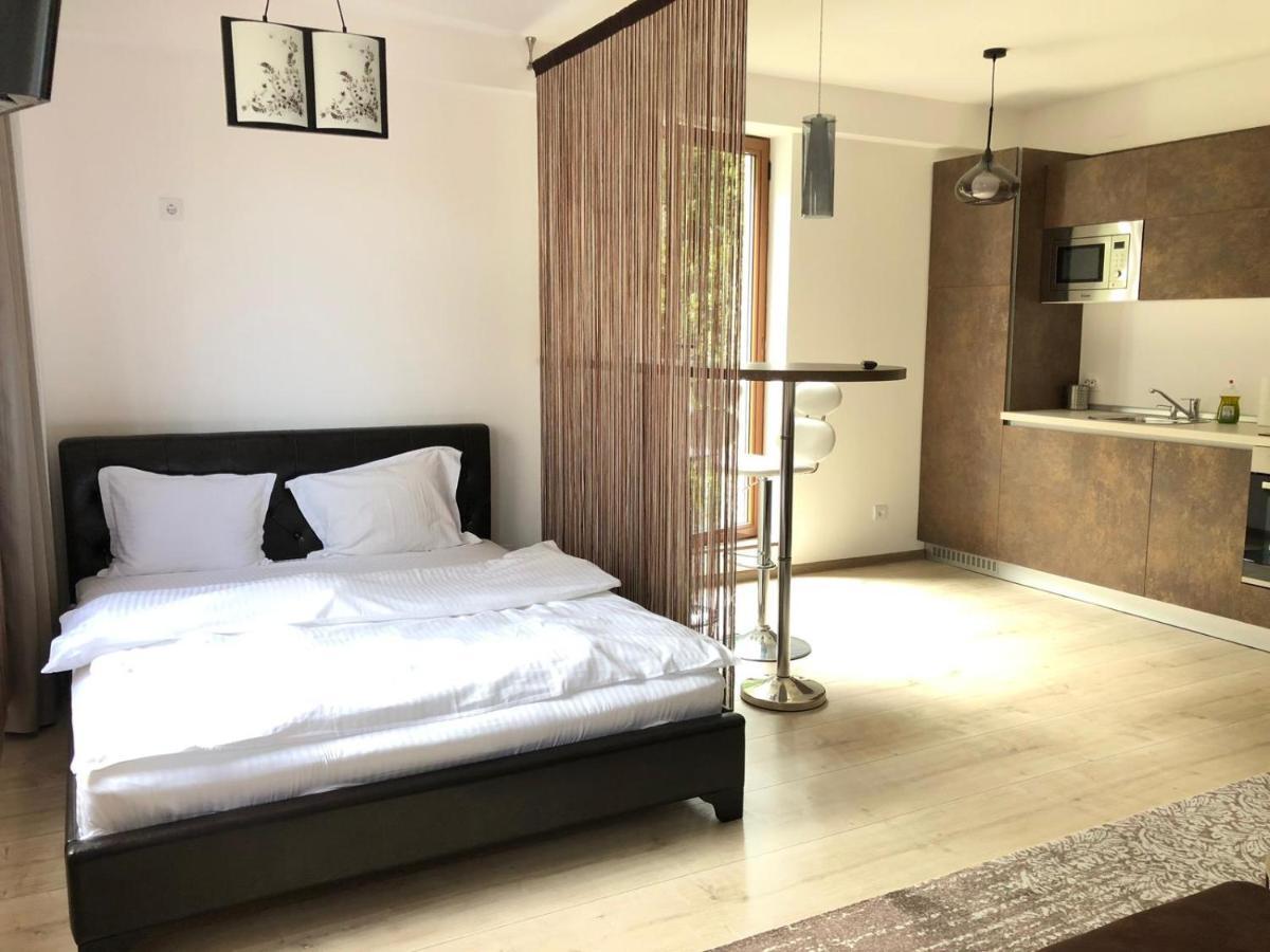 Iq Studio - Seasons Residence Брашов Екстериор снимка